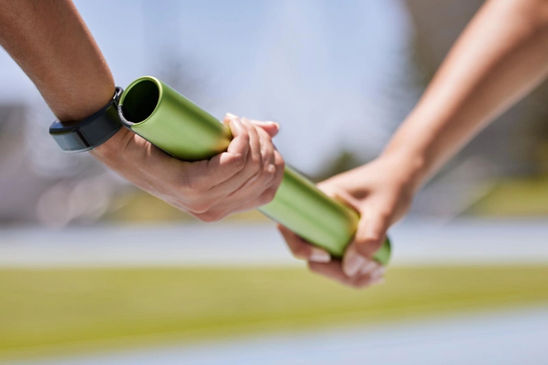 Promover a Sustentabilidade, Monitorizar e Comunica